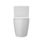 تصویر از نمای رو به رو توالت فرنگی آنتوریوم چینی کرد