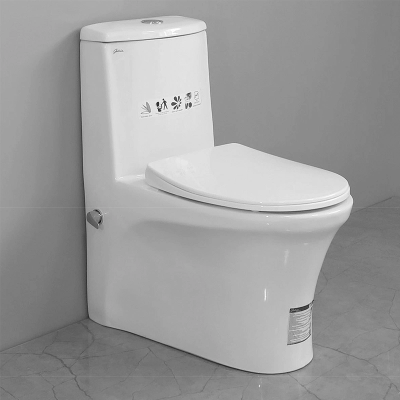 توالت فرنگی آرسیتا از برند گاتریا